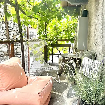 Tiny House Rustico Bovini